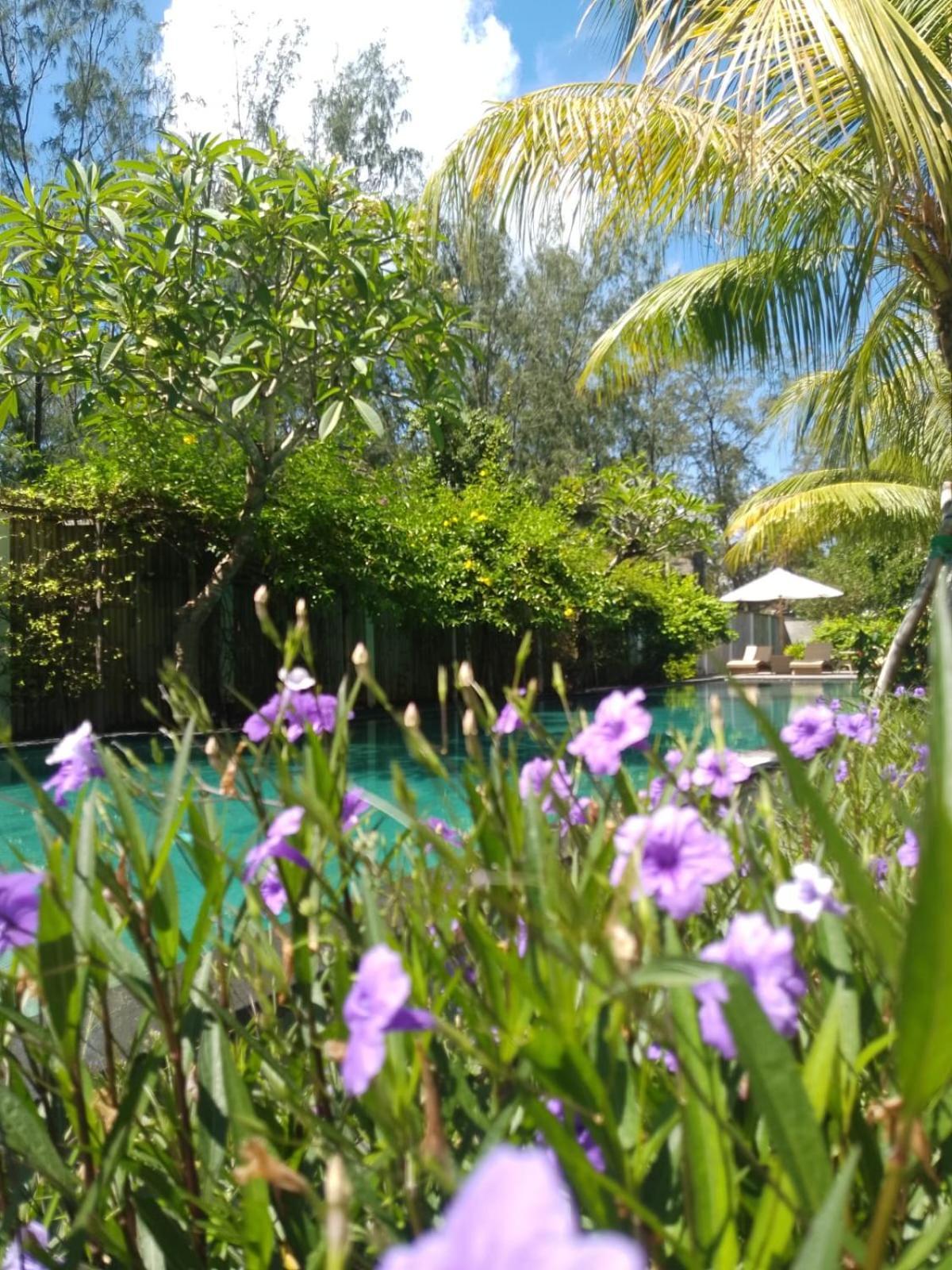Villa Penyu 吉利特拉旺安 外观 照片